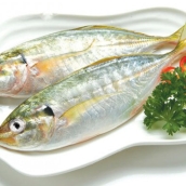 SEA FISH