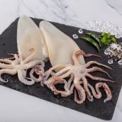 OTHER SEAFOOD