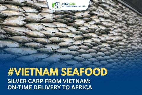 INDIAN MACKEREL: A PRACTICAL SEAFOOD CHOICE FOR GLOBAL MARKETS