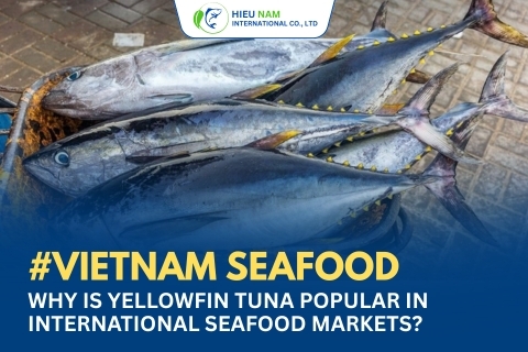 WHY IS YELLOWFIN TUNA POPULAR IN INTERNATIONAL SEAFOOD MARKETS?