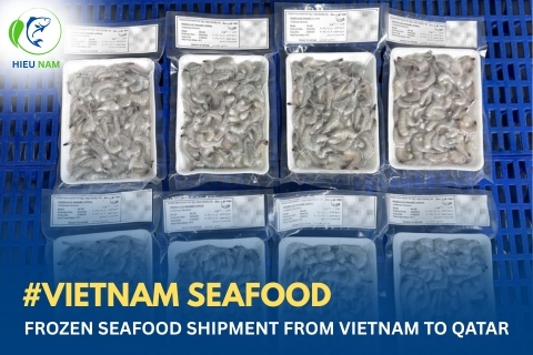 Frozen Seafood Shipment from Vietnam to Qatar: Vannamei Shrimp, Koi Fish, Baby Shrimp & Keski