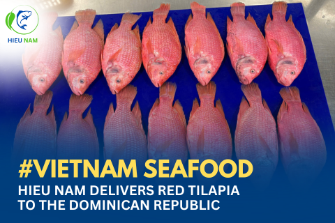 Exporting Frozen Red Tilapia from Vietnam: HIEU NAM’s Successful Delivery to the Dominican Republic