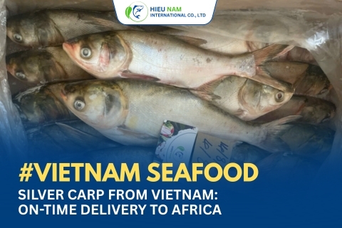 SILVER CARP FROM VIETNAM: ON-TIME DELIVERY TO AFRICA