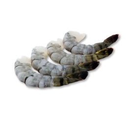 Peeled Deveined Tail-On Black Tiger Shrimp