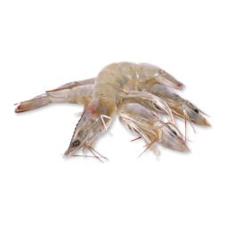HEAD ON SHELL ON VANNAMEI SHRIMP