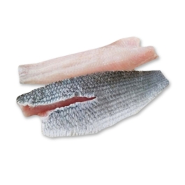 SNAKEHEAD FISH FILLET