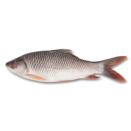 ROHU