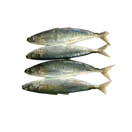ROUND SCAD