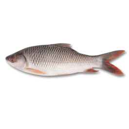 ROHU