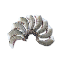 HEADLESS SHELL ON BLACK TIGER SHRIMP