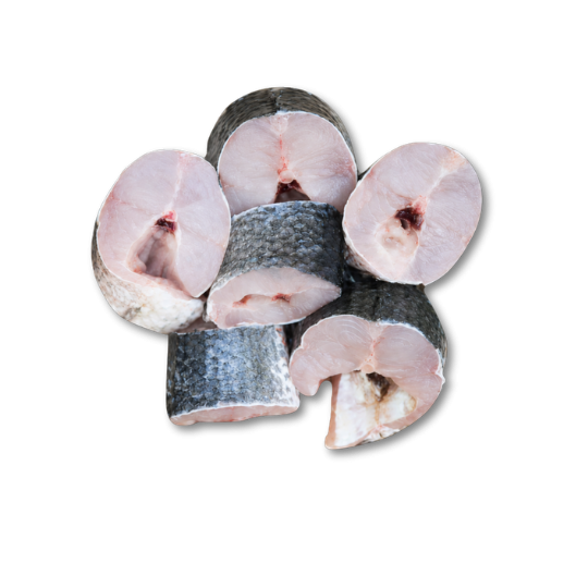 SNAKEHEAD FISH STEAK