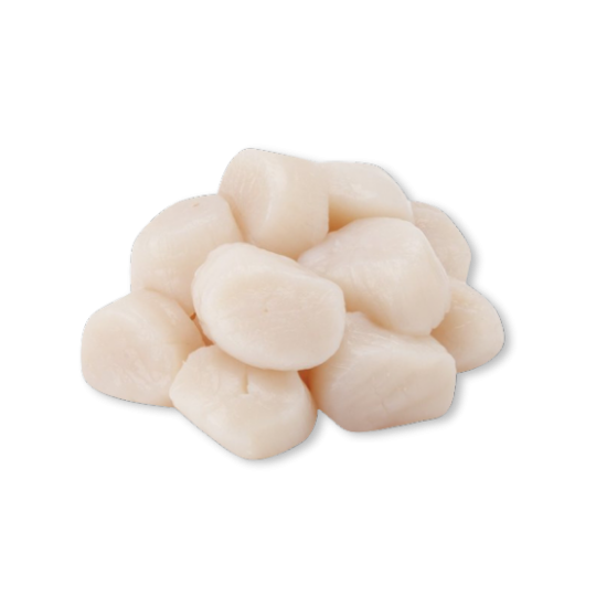 SCALLOP MEAT