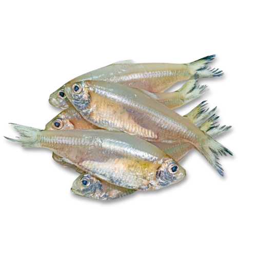 KESKI