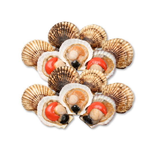 SCALLOP